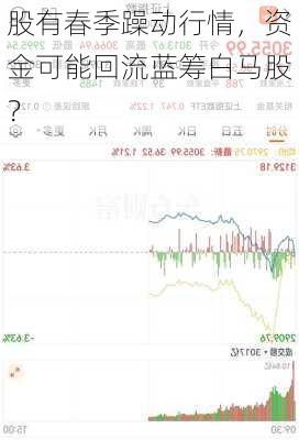 股有春季躁动行情，资金可能回流蓝筹白马股？