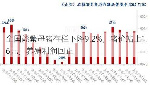 全国能繁母猪存栏下降9.2%，猪价站上16元，养殖利润回正