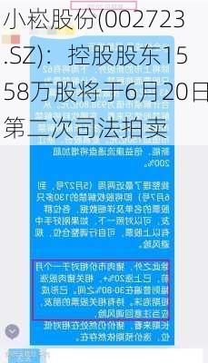 小崧股份(002723.SZ)：控股股东1558万股将于6月20日第二次司法拍卖