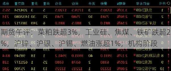 期货午评：菜粕跌超3%，工业硅、焦煤、铁矿跌超2%，沪锌、沪银、沪锡、燃油涨超1%；机构阶段