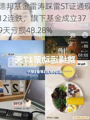 德邦基金雷涛踩雷ST证通现12连跌，旗下基金成立379天亏损48.28%