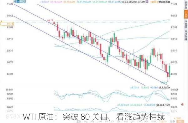 WTI 原油：突破 80 关口，看涨趋势持续