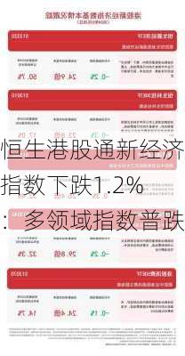 恒生港股通新经济指数下跌1.2%：多领域指数普跌