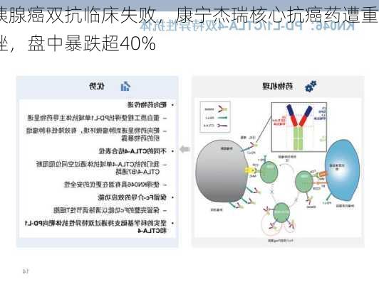 胰腺癌双抗临床失败，康宁杰瑞核心抗癌药遭重挫，盘中暴跌超40%