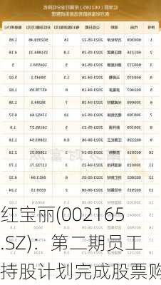 红宝丽(002165.SZ)：第二期员工持股计划完成股票购买