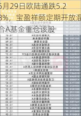 5月29日欧陆通跌5.28%，宝盈祥颐定期开放混合A基金重仓该股