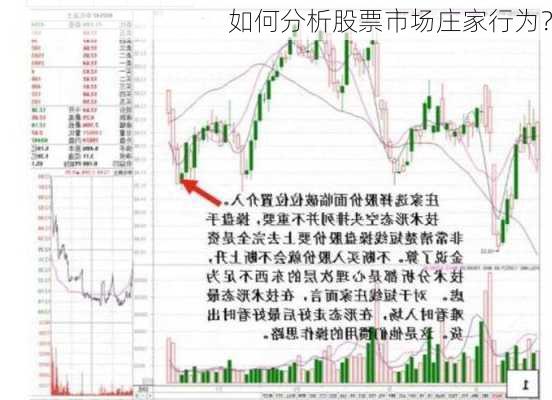 如何分析股票市场庄家行为？