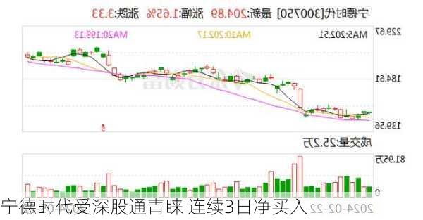 宁德时代受深股通青睐 连续3日净买入