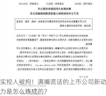 实控人被拘！满嘴谎话的上市公司新动力是怎么炼成的？