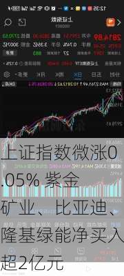 上证指数微涨0.05% 紫金矿业、比亚迪、隆基绿能净买入超2亿元