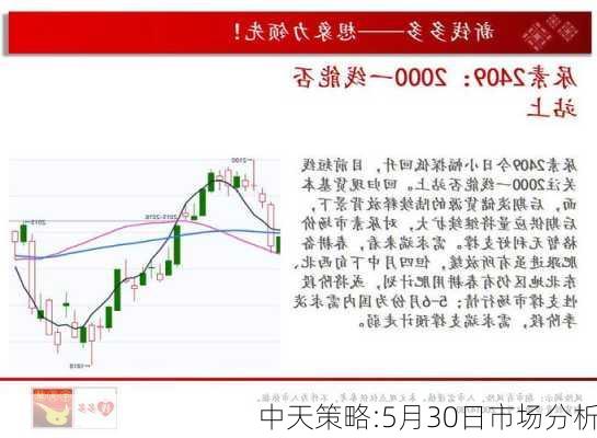 中天策略:5月30日市场分析