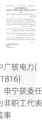 中广核电力(01816)：申宁获委任为非职工代表监事