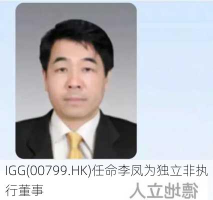 IGG(00799.HK)任命李凤为独立非执行董事