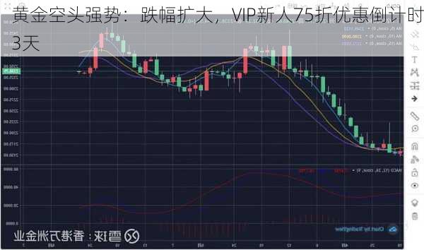 黄金空头强势：跌幅扩大，VIP新人75折优惠倒计时3天