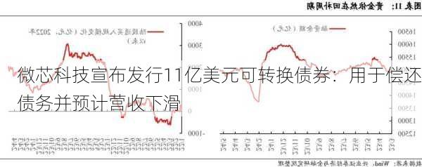 微芯科技宣布发行11亿美元可转换债券：用于偿还债务并预计营收下滑