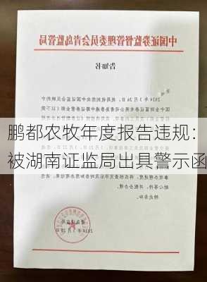 鹏都农牧年度报告违规：被湖南证监局出具警示函