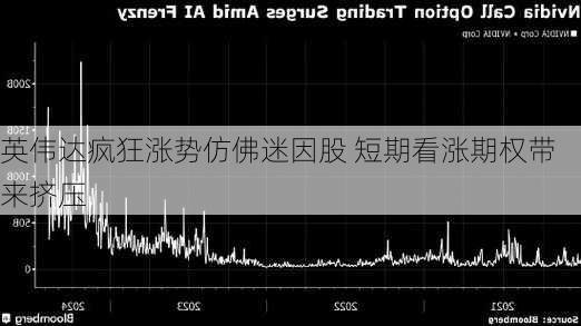 英伟达疯狂涨势仿佛迷因股 短期看涨期权带来挤压