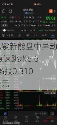 九紫新能盘中异动 急速跳水6.68%报0.310美元