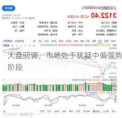 大盘回调，市场处于犹疑中偏强势阶段