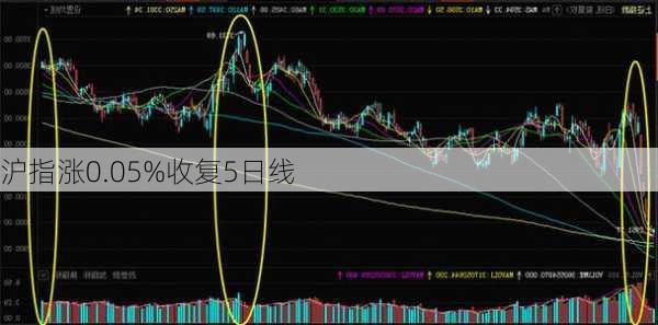 沪指涨0.05%收复5日线