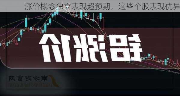 涨价概念独立表现超预期，这些个股表现优异