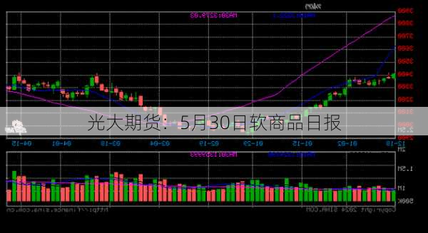 光大期货：5月30日软商品日报