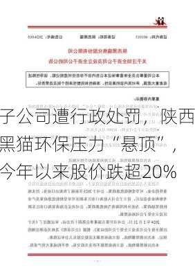 子公司遭行政处罚，陕西黑猫环保压力“悬顶”，今年以来股价跌超20%