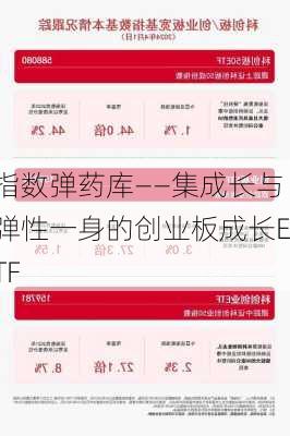 指数弹药库――集成长与弹性一身的创业板成长ETF