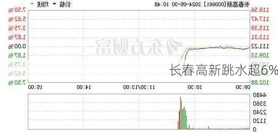 长春高新跳水超6%