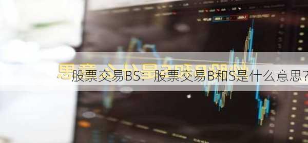 股票交易BS：股票交易B和S是什么意思？