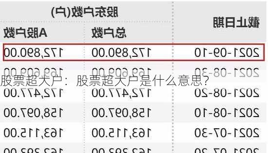 股票超大户：股票超大户是什么意思？