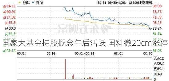 国家大基金持股概念午后活跃 国科微20cm涨停