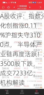 A股收评：指数分化创指涨0.11%沪指失守3100点， 半导体产业链再度活跃！超3500股下跌，成交7233亿；机构解读