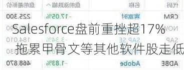 Salesforce盘前重挫超17% 拖累甲骨文等其他软件股走低