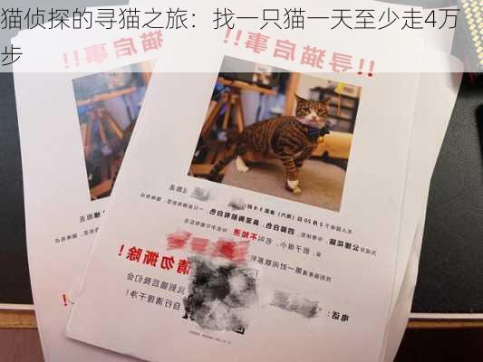 猫侦探的寻猫之旅：找一只猫一天至少走4万步