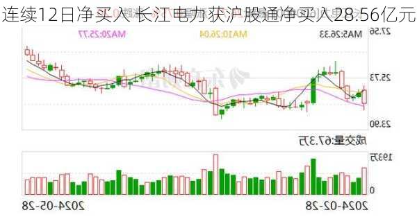 连续12日净买入 长江电力获沪股通净买入28.56亿元