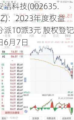 安洁科技(002635.SZ)：2023年度权益分派10派3元 股权登记日6月7日