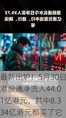 最新出炉！5月30日港股通净流入44.01亿港元，其中8.334亿港元都买了它