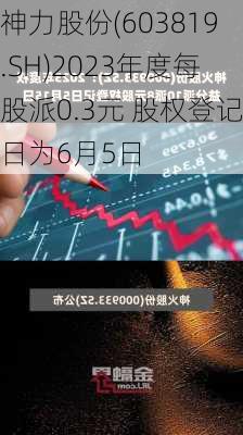 神力股份(603819.SH)2023年度每股派0.3元 股权登记日为6月5日