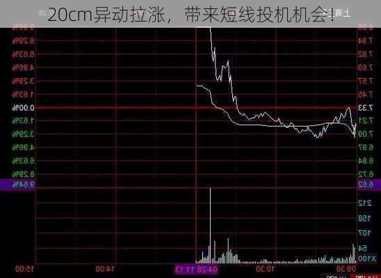 20cm异动拉涨，带来短线投机机会！