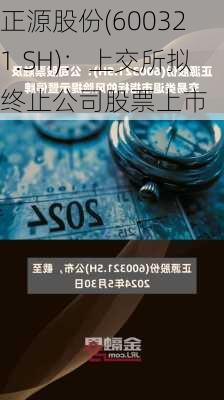 正源股份(600321.SH)：上交所拟终止公司股票上市