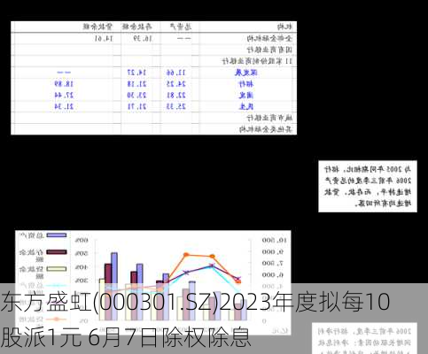 东方盛虹(000301.SZ)2023年度拟每10股派1元 6月7日除权除息