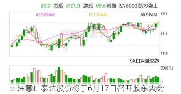 注意！泰达股份将于6月17日召开股东大会