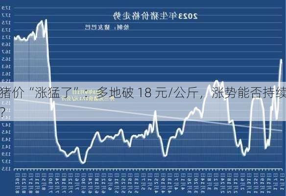 猪价“涨猛了”：多地破 18 元/公斤，涨势能否持续？