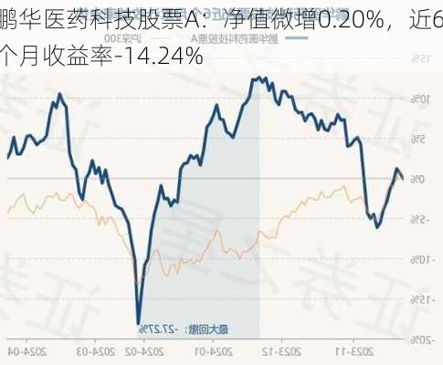 鹏华医药科技股票A：净值微增0.20%，近6个月收益率-14.24%