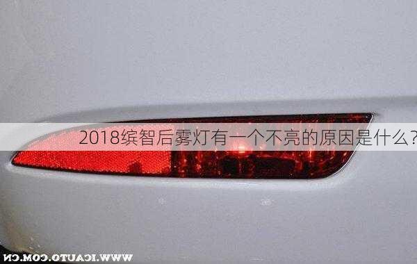 2018缤智后雾灯有一个不亮的原因是什么？