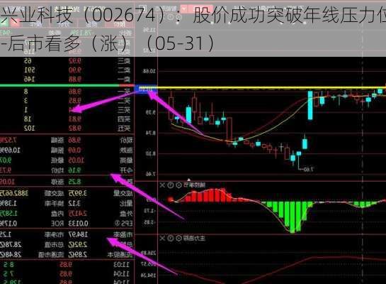 兴业科技（002674）：股价成功突破年线压力位-后市看多（涨）（05-31）