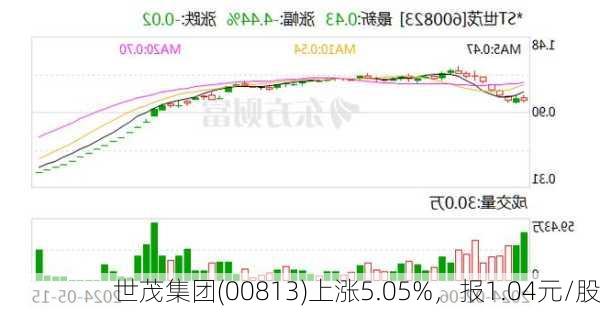 世茂集团(00813)上涨5.05%，报1.04元/股