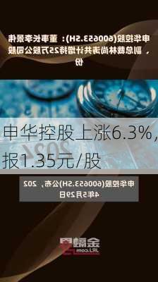 申华控股上涨6.3%，报1.35元/股