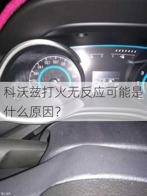 科沃兹打火无反应可能是什么原因？